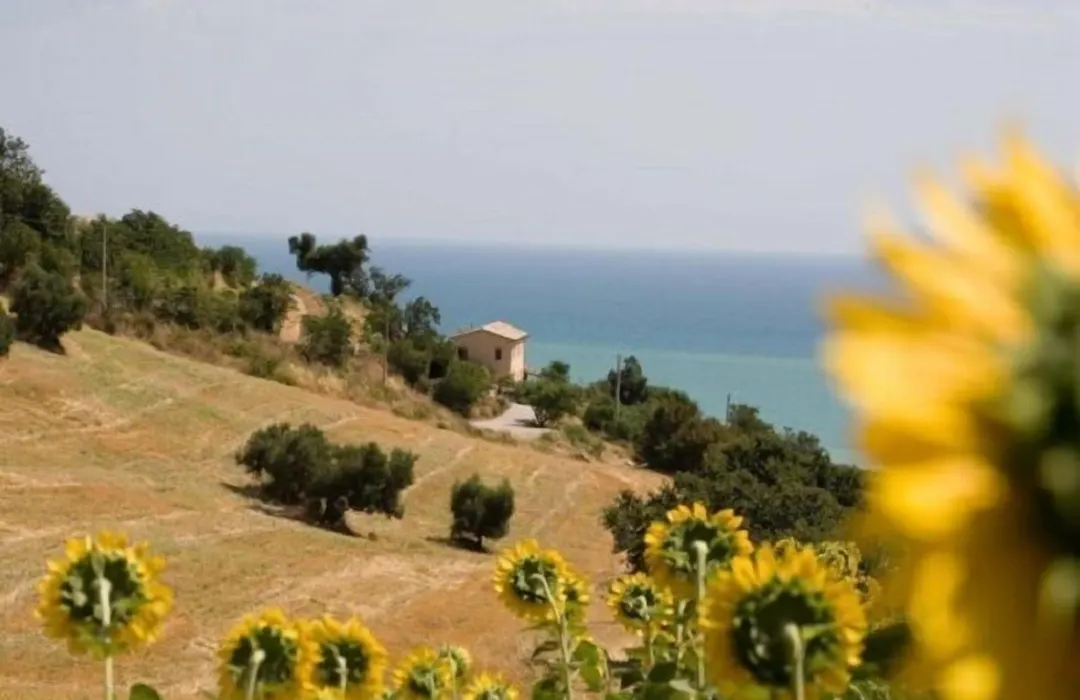 Agriturismo La Quarta-1